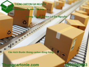 Các kích thước thùng carton đóng hàng