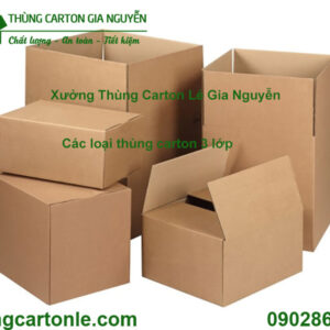 Các loại thùng carton 3 lớp