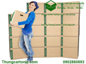 Thùng carton đựng hồ sơ văn phòng