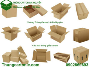 Các loại thùng giấy carton