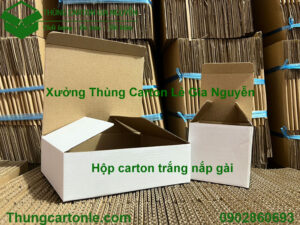 Hộp carton trắng nắp gài