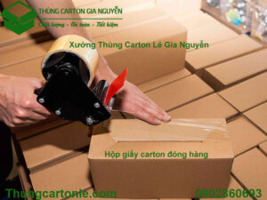 Hộp giấy carton đóng hàng