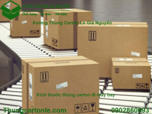 Kích thước thùng carton đi máy bay