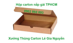 hộp carton nắp gài TPHCM