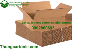 Sản xuất thùng carton tại Bình Dương