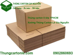 Thùng carton 5 lớp TPHCM