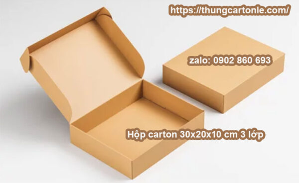 Hộp carton 30x20x10 cm